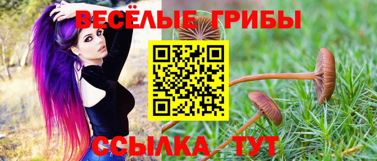 Галлюциногенные грибы ЛСД  Псилоцибиновые грибы мухоморы  Ярославль  Вход с VPN 